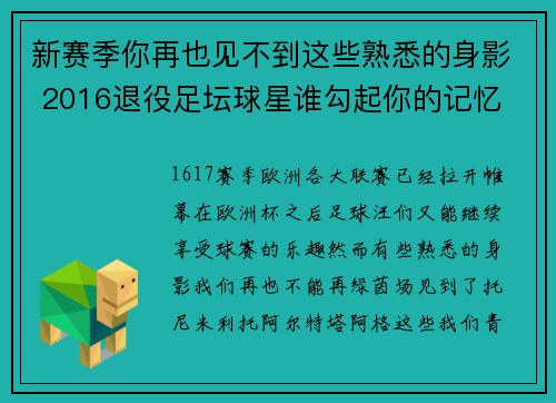 新赛季你再也见不到这些熟悉的身影 2016退役足坛球星谁勾起你的记忆